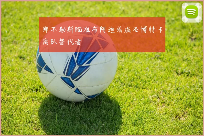 那不勒斯瞄准布阿迪或成洛博特卡离队替代者