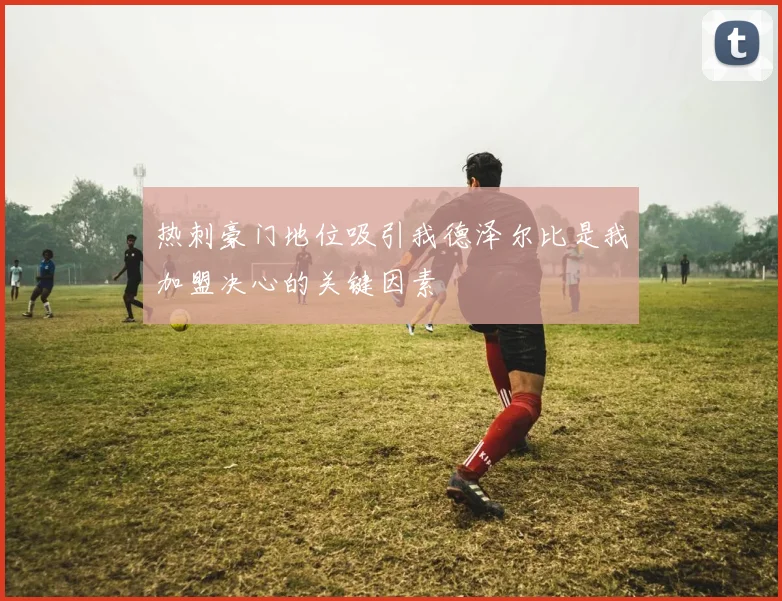 热刺豪门地位吸引我德泽尔比是我加盟决心的关键因素