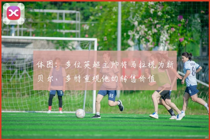 体图：多位英超主帅将马拉视为新贝尔，多特重视他的转售价值