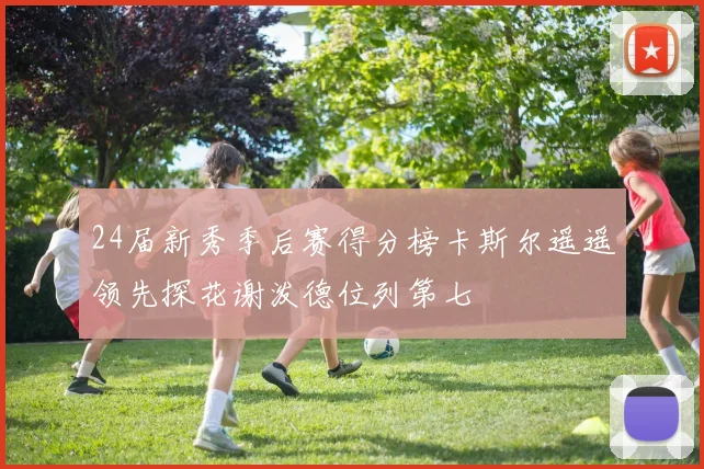 24届新秀季后赛得分榜卡斯尔遥遥领先探花谢泼德位列第七