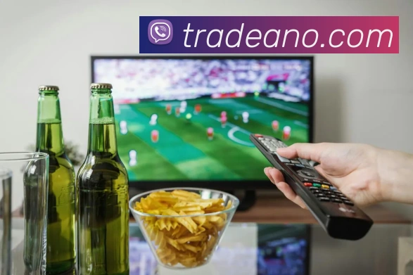 世界杯网站网页APP 封面图